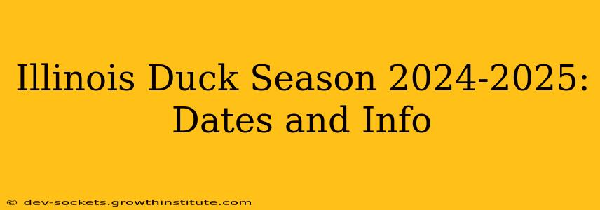 Illinois Duck Season 2024-2025: Dates and Info