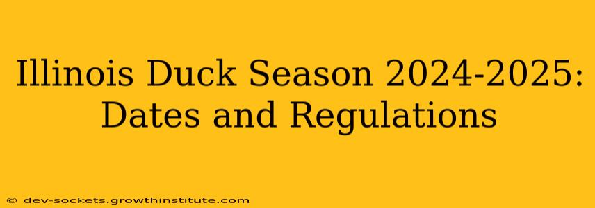 Illinois Duck Season 2024-2025: Dates and Regulations