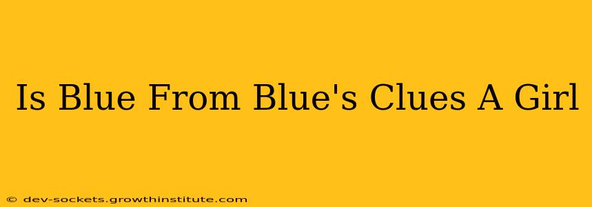 Is Blue From Blue's Clues A Girl