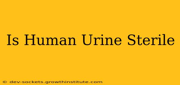Is Human Urine Sterile