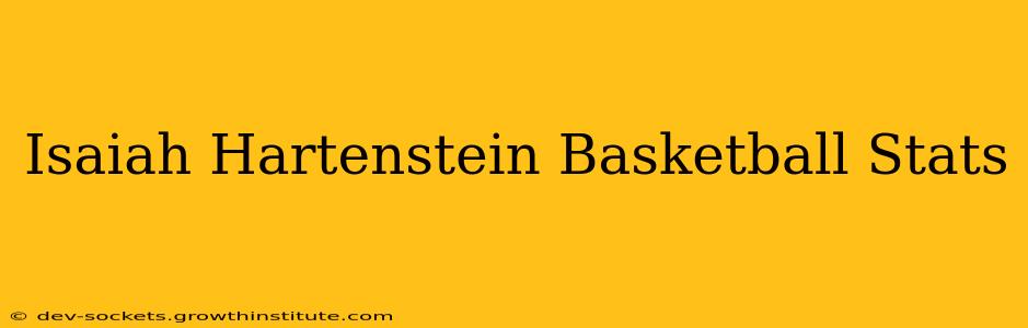 Isaiah Hartenstein Basketball Stats