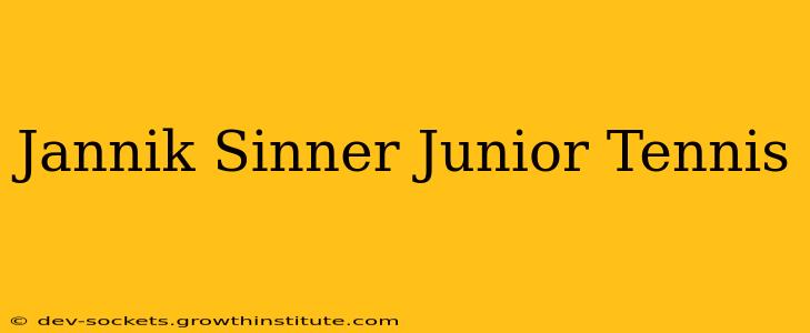 Jannik Sinner Junior Tennis