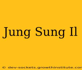 Jung Sung Il