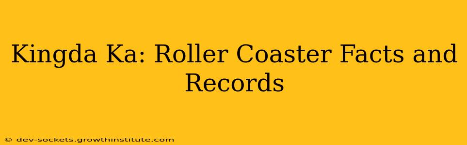 Kingda Ka: Roller Coaster Facts and Records