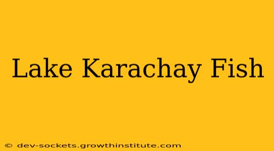 Lake Karachay Fish