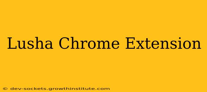 Lusha Chrome Extension