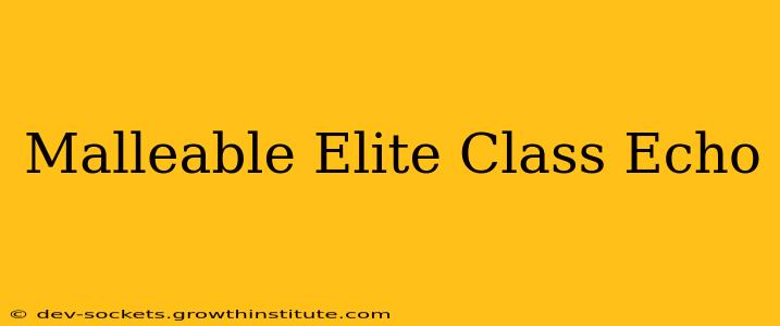 Malleable Elite Class Echo