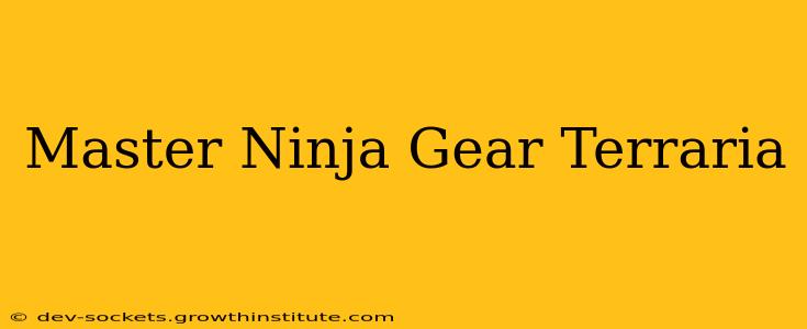 Master Ninja Gear Terraria