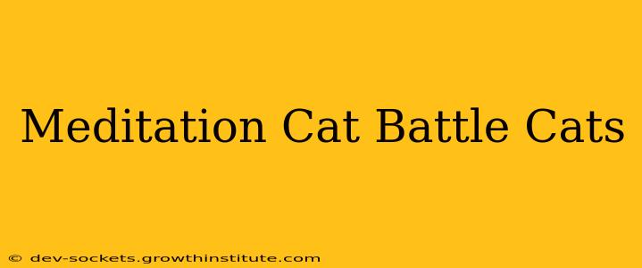 Meditation Cat Battle Cats