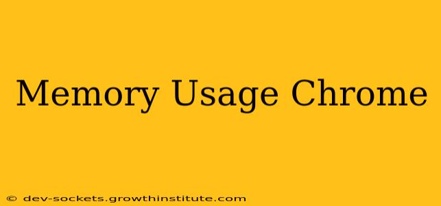 Memory Usage Chrome