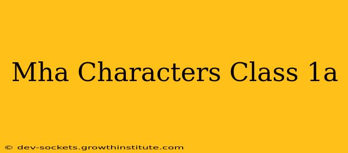 Mha Characters Class 1a