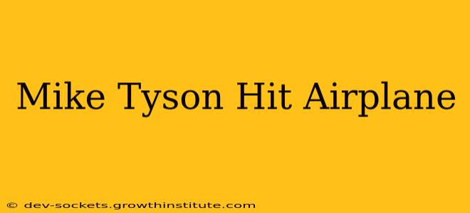Mike Tyson Hit Airplane