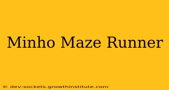 Minho Maze Runner