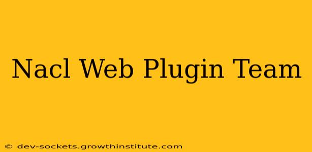 Nacl Web Plugin Team