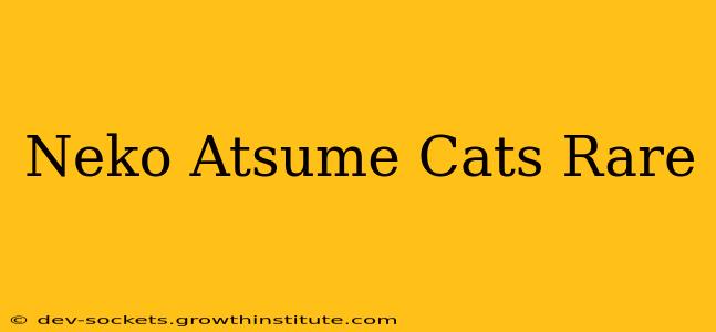 Neko Atsume Cats Rare