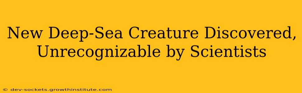 New Deep-Sea Creature Discovered, Unrecognizable by Scientists