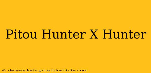 Pitou Hunter X Hunter