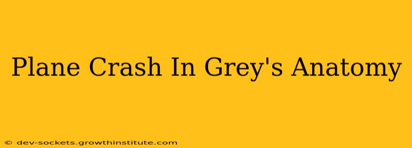 Plane Crash In Grey's Anatomy
