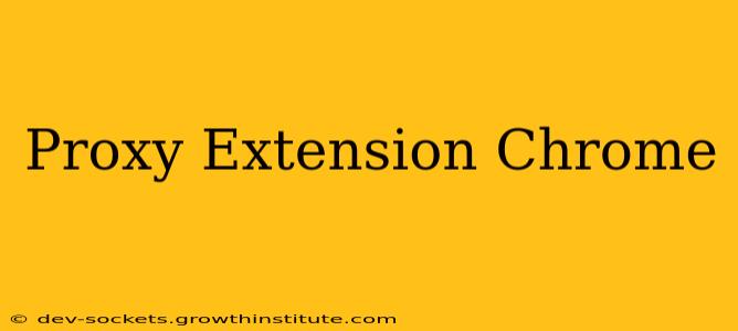 Proxy Extension Chrome