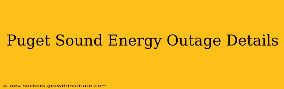 Puget Sound Energy Outage Details