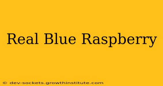 Real Blue Raspberry