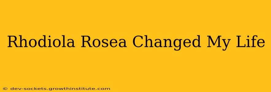 Rhodiola Rosea Changed My Life