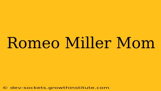 Romeo Miller Mom