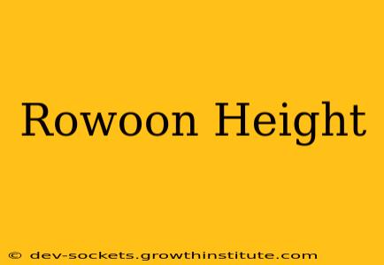 Rowoon Height