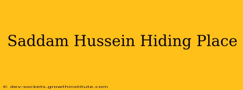Saddam Hussein Hiding Place