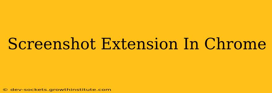 Screenshot Extension In Chrome