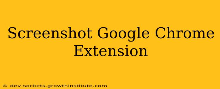 Screenshot Google Chrome Extension