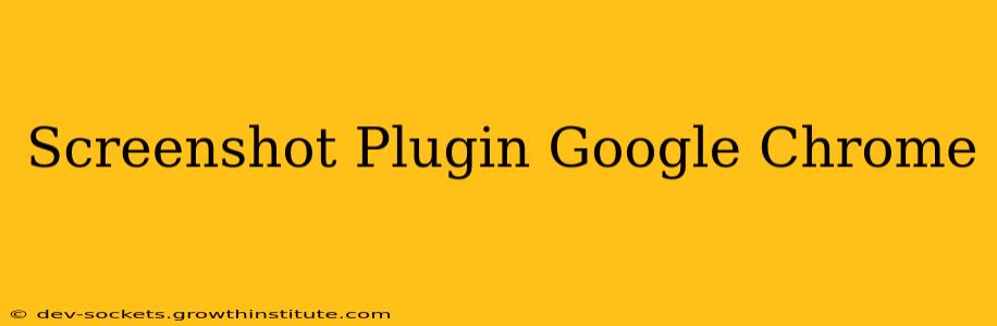 Screenshot Plugin Google Chrome