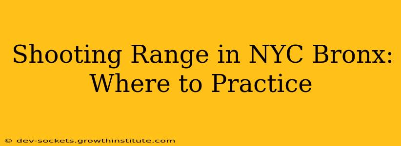 Shooting Range in NYC Bronx: Where to Practice