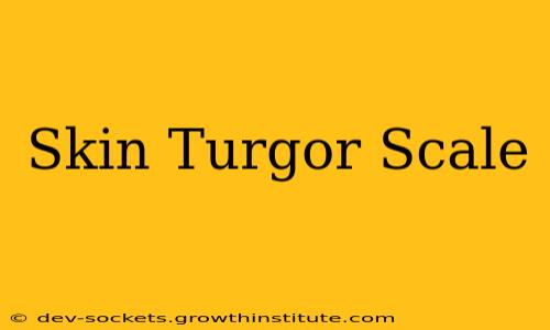 Skin Turgor Scale