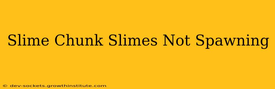 Slime Chunk Slimes Not Spawning