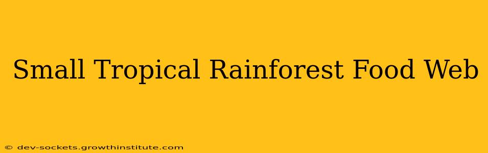 Small Tropical Rainforest Food Web