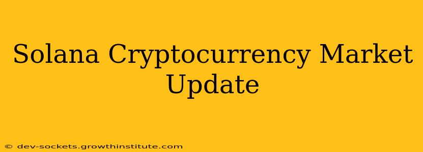 Solana Cryptocurrency Market Update
