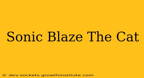 Sonic Blaze The Cat