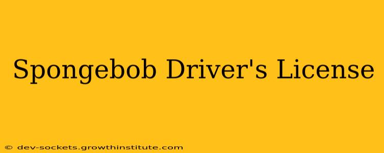 Spongebob Driver's License
