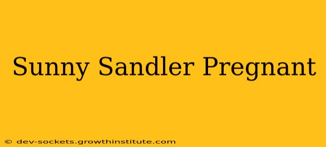 Sunny Sandler Pregnant