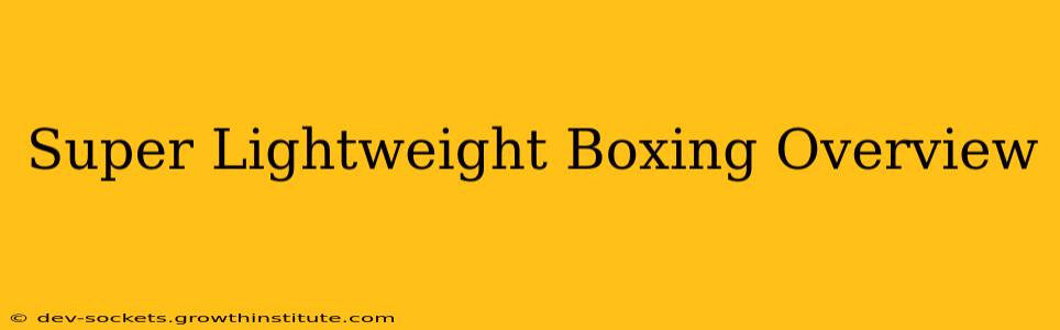 Super Lightweight Boxing Overview