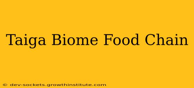 Taiga Biome Food Chain
