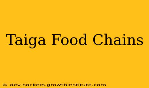 Taiga Food Chains