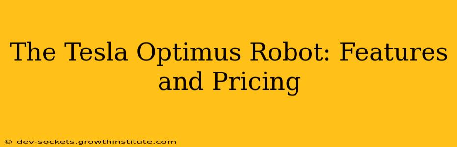 The Tesla Optimus Robot: Features and Pricing