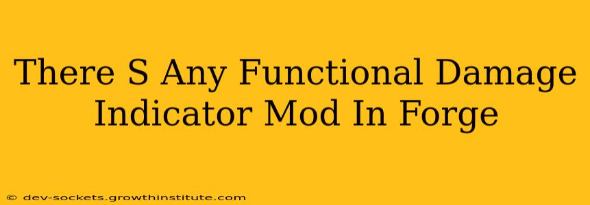 There S Any Functional Damage Indicator Mod In Forge