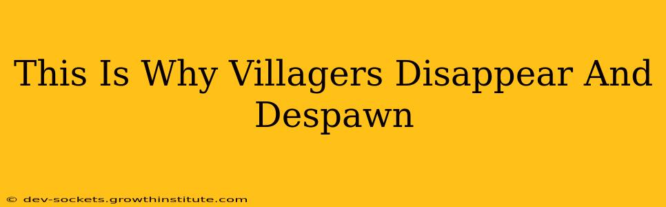 This Is Why Villagers Disappear And Despawn