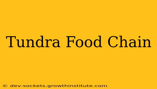 Tundra Food Chain
