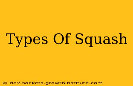 Types Of Squash
