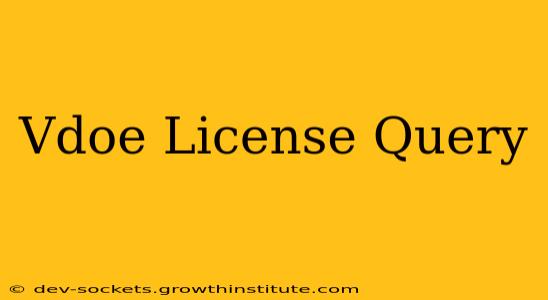 Vdoe License Query