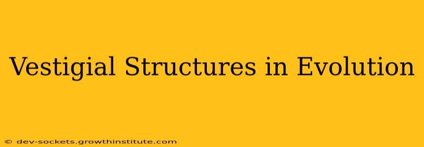 Vestigial Structures in Evolution
